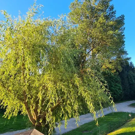 Appartement Sous Le Saule à Nods Extérieur photo