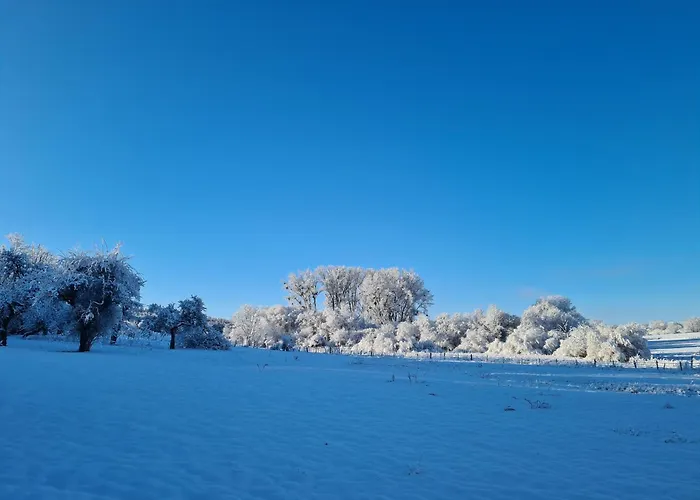 Sous Le Saule