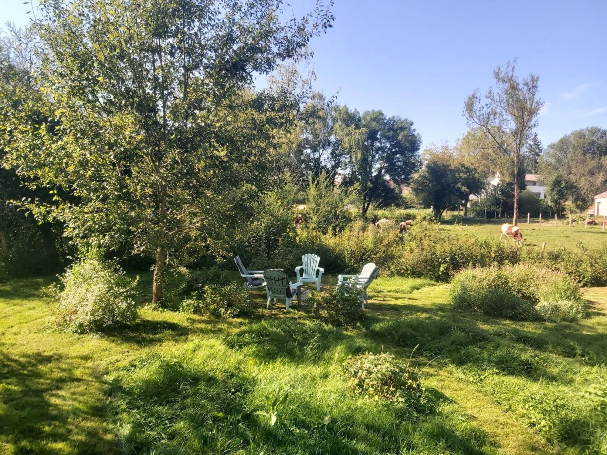 Sous Le Saule Appartement *